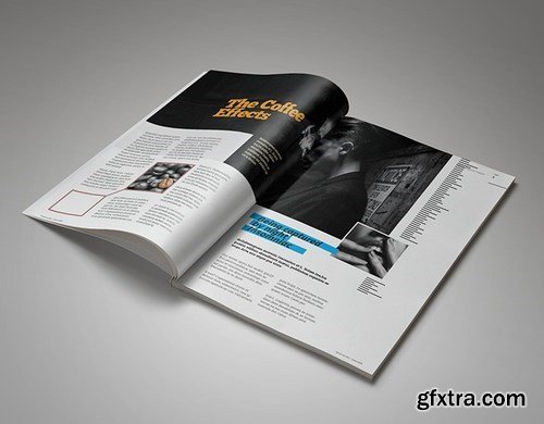 InDesign Magazine Template