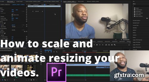 How to scale (resize) and animate the dimensions of your video clips in Adobe Premiere