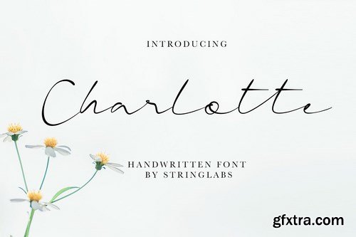 CM - Charlotte - Casual Handwritten Font 4321338