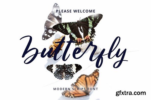 Butterfly Modern Script Font