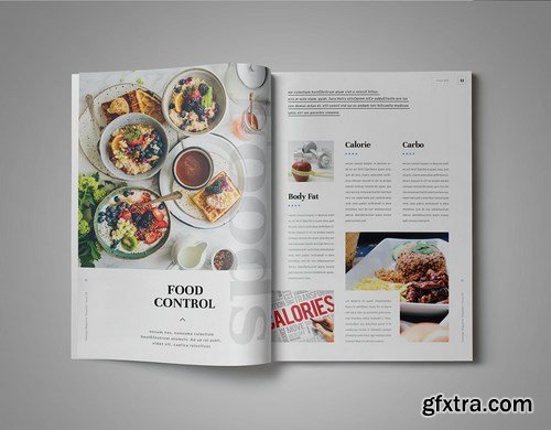 InDesign Magazine Template