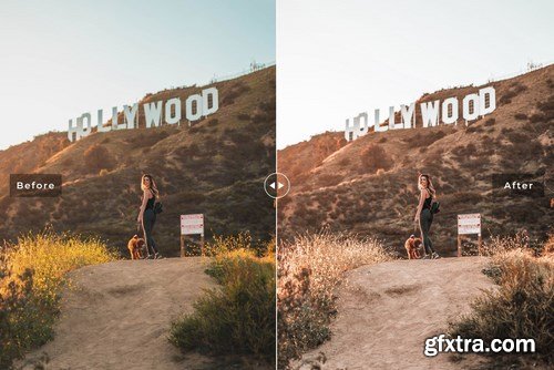 Los Angeles Mobile & Desktop Lightroom Presets