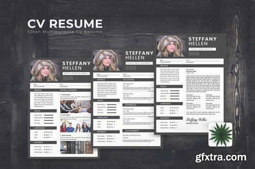 Executive CV Resume