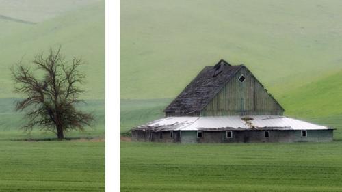 Lynda - Advanced Photography: Diptychs, Triptychs, and Aspect Ratios - 604255