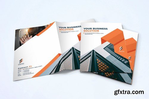 Bifold Brochure