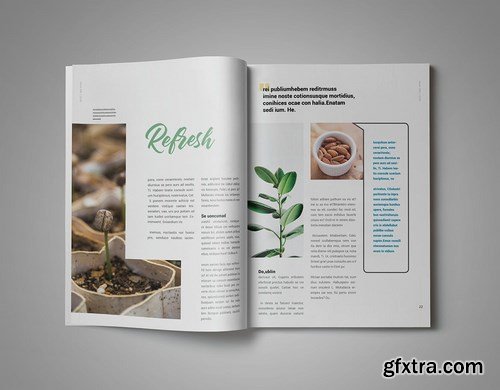 InDesign Magazine Template