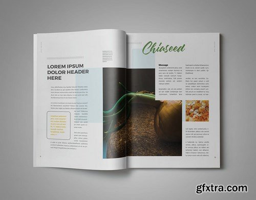 InDesign Magazine Template