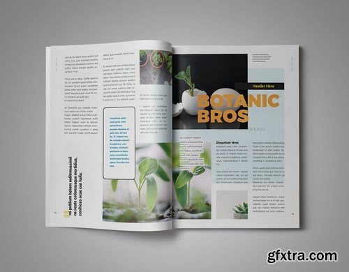 InDesign Magazine Template