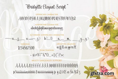 CM - Bridgette Elegant Script 4331614