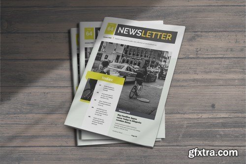 InDesign Newsletter Template