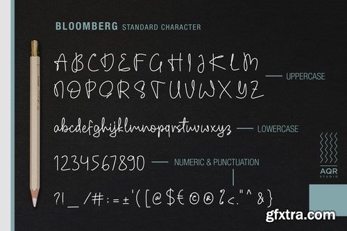 Bloomberg Script Fonts