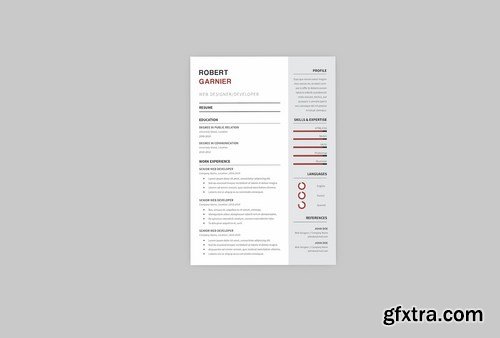 Robert Developer Resume Designer