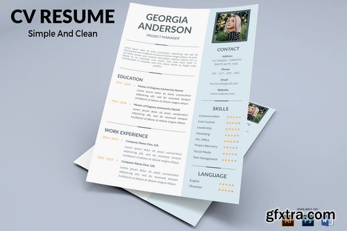 CV Resume Professional