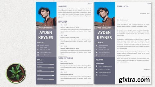 CV Resume Simple And Elegant