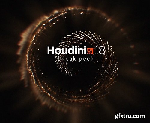 Houdini 18 Build 287