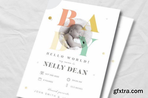 Baby Shower & Baby Announcement Flyer