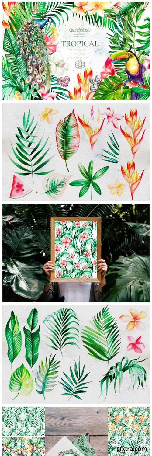 Hand Drawn Watercolor Tropic 4 2153776