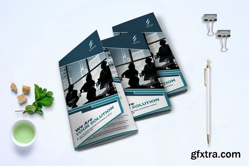 Trifold Business Brochure