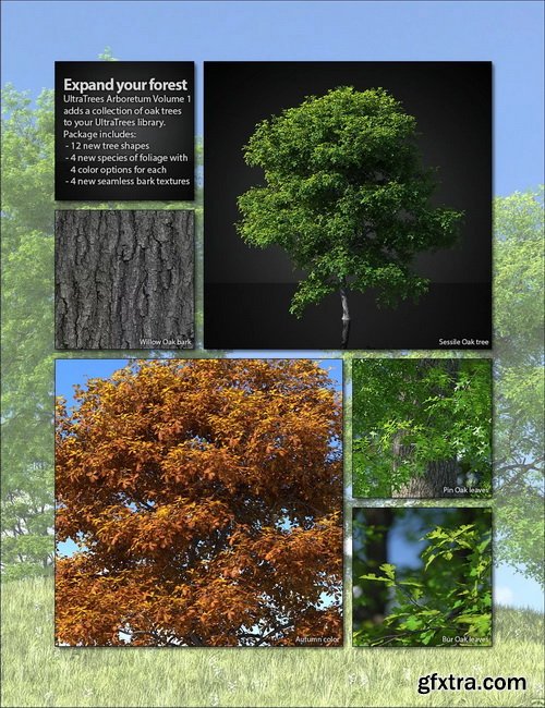 Daz3D - UltraTrees - Arboretum Volume 1