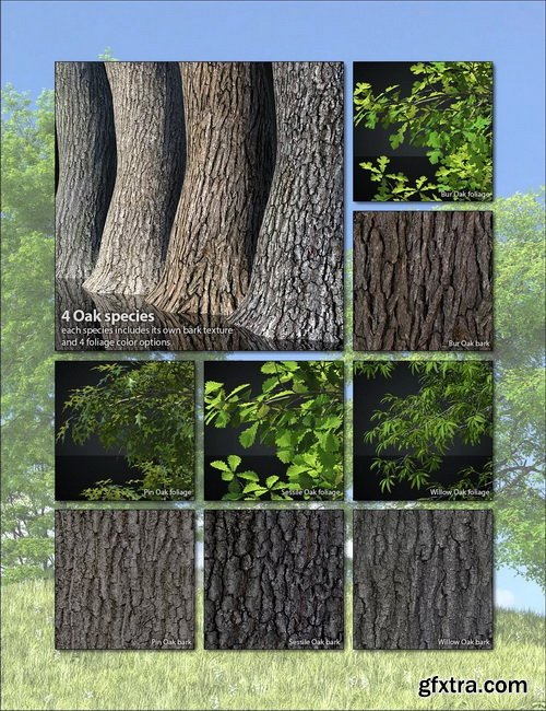 Daz3D - UltraTrees - Arboretum Volume 1