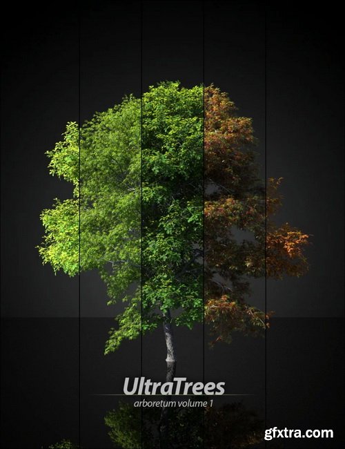 Daz3D - UltraTrees - Arboretum Volume 1