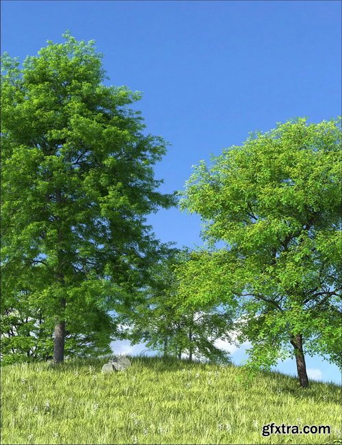 Daz3D - UltraTrees - Arboretum Volume 1