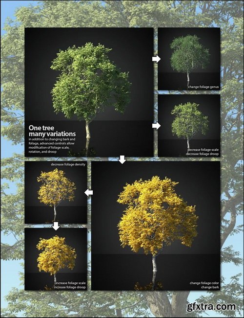 Daz3D - UltraTrees - Realistic Tree System