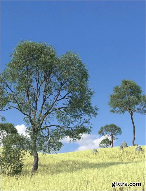 Daz3D - UltraTrees - Realistic Tree System