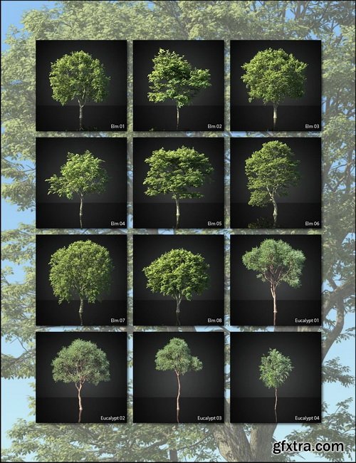 Daz3D - UltraTrees - Realistic Tree System