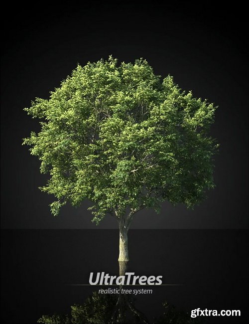 Daz3D - UltraTrees - Realistic Tree System