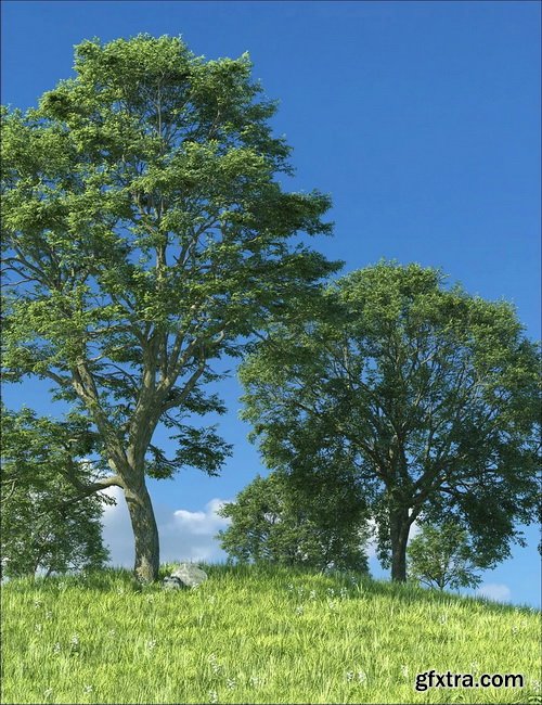 Daz3D - UltraTrees - Realistic Tree System