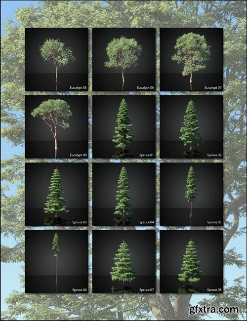 Daz3D - UltraTrees - Realistic Tree System