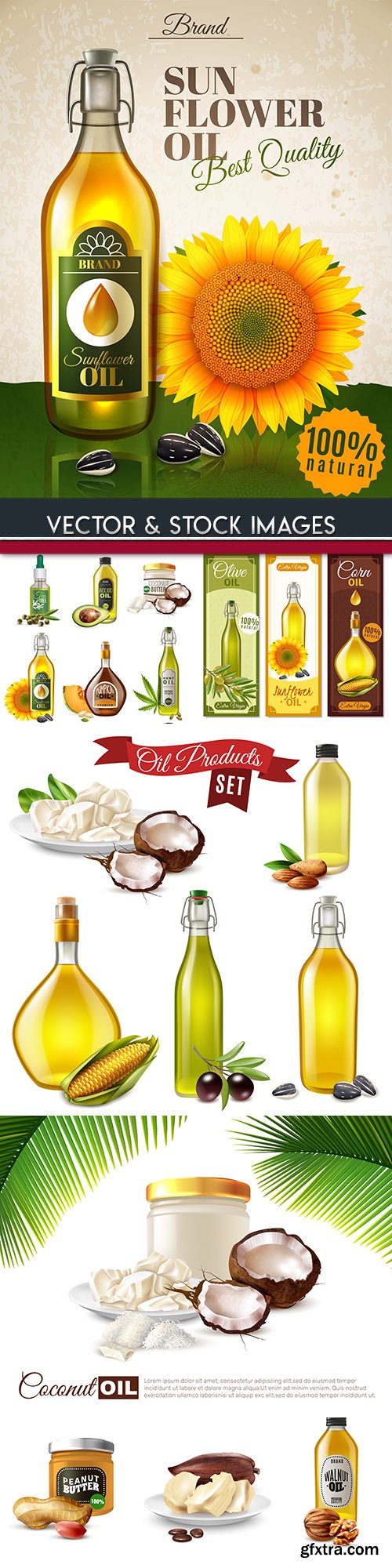 Bottle olive almond and coconut oil for proper nutrition