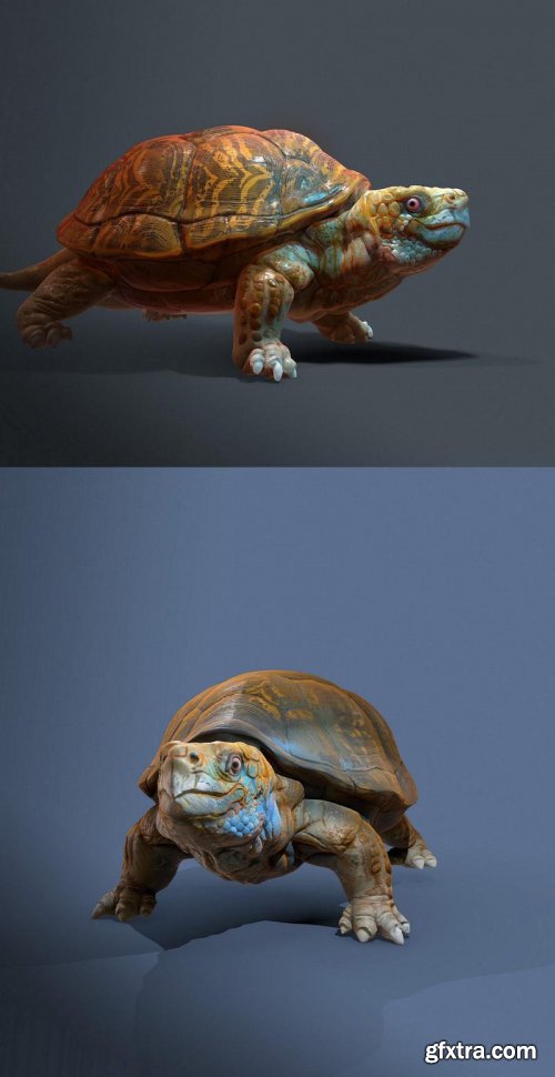 Turtle