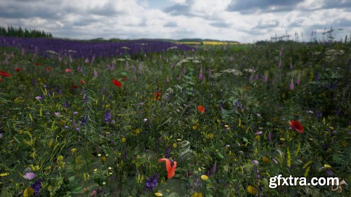 Flowers and Plants Nature Pack