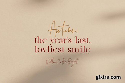 CreativeMarket - Gather Collector's Edition Font Duo 4125884