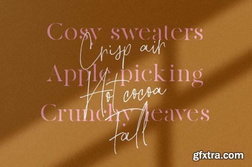 CreativeMarket - Gather Collector's Edition Font Duo 4125884