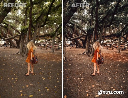 CreativeMarket - Mobile Lightroom Presets AUTUMN FEED 4116991