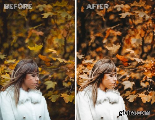 CreativeMarket - Mobile Lightroom Presets AUTUMN FEED 4116991