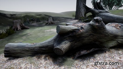 Photo-scanned Realistic Tree Stumps / Trunks