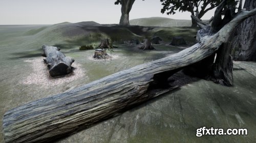 Photo-scanned Realistic Tree Stumps / Trunks