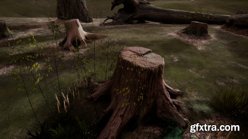 Photo-scanned Realistic Tree Stumps / Trunks