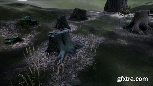 Photo-scanned Realistic Tree Stumps / Trunks