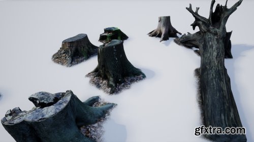 Photo-scanned Realistic Tree Stumps / Trunks