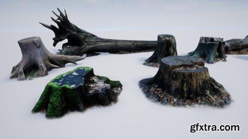 Photo-scanned Realistic Tree Stumps / Trunks