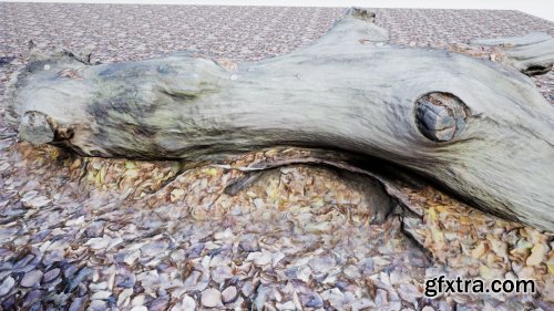 Photo-scanned Realistic Tree Stumps / Trunks