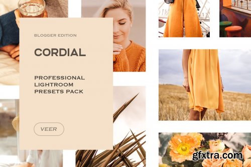 CreativeMarket - Presets Lightroom Bundle Mobile 4242208