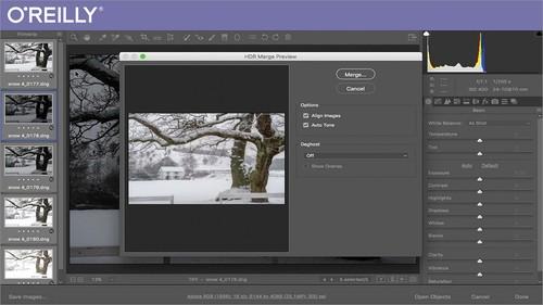 Oreilly - Adobe Camera Raw Workflow - 9781491968802