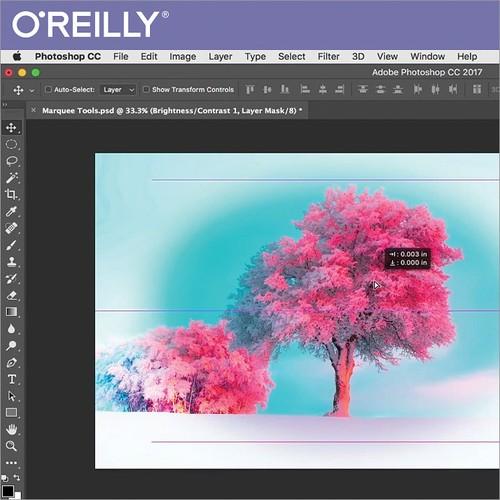 Oreilly - Learn to Use Photoshop CC 2017 - 9781491982181