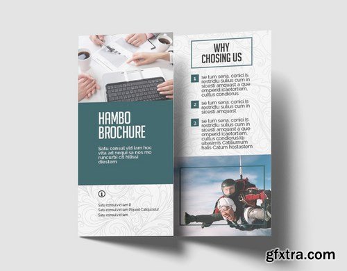 Hambo Trifold Brochure